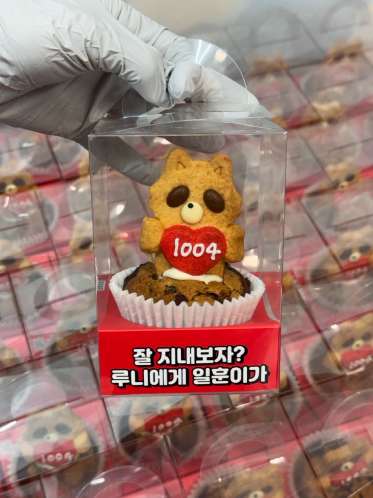 루니 일훈 역 연예인조공 커스텀 브라우니 예시