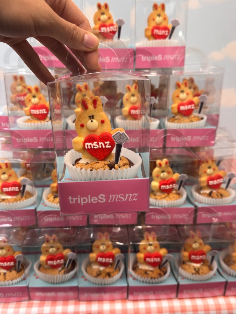 tripleS msnz 연예인조공 커스텀 브라우니 예시