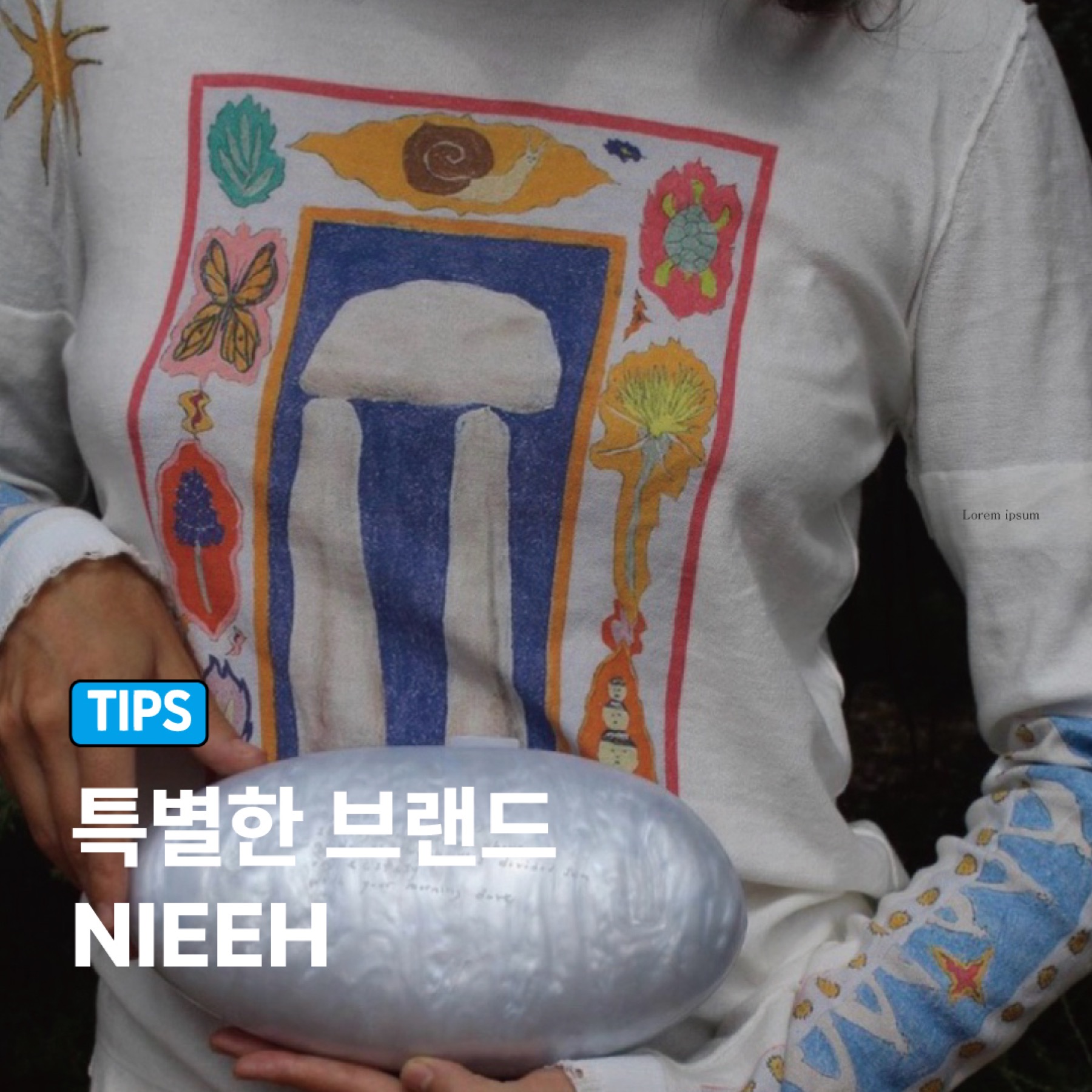 행운쿠키 추천 대표 이미지